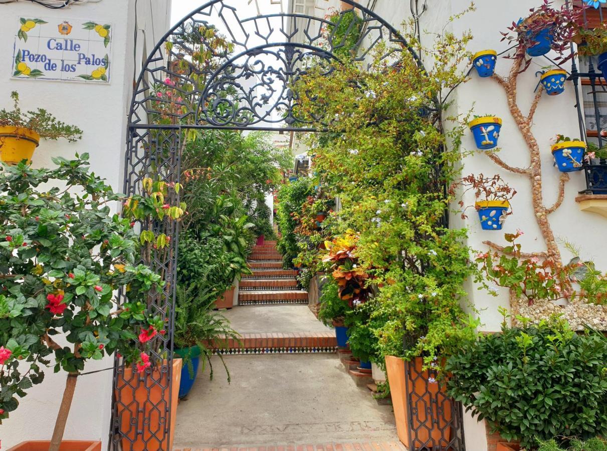 Casitamar Frontline Beach House Rental Casares Costa Near Estepona Bahia de Casares Εξωτερικό φωτογραφία